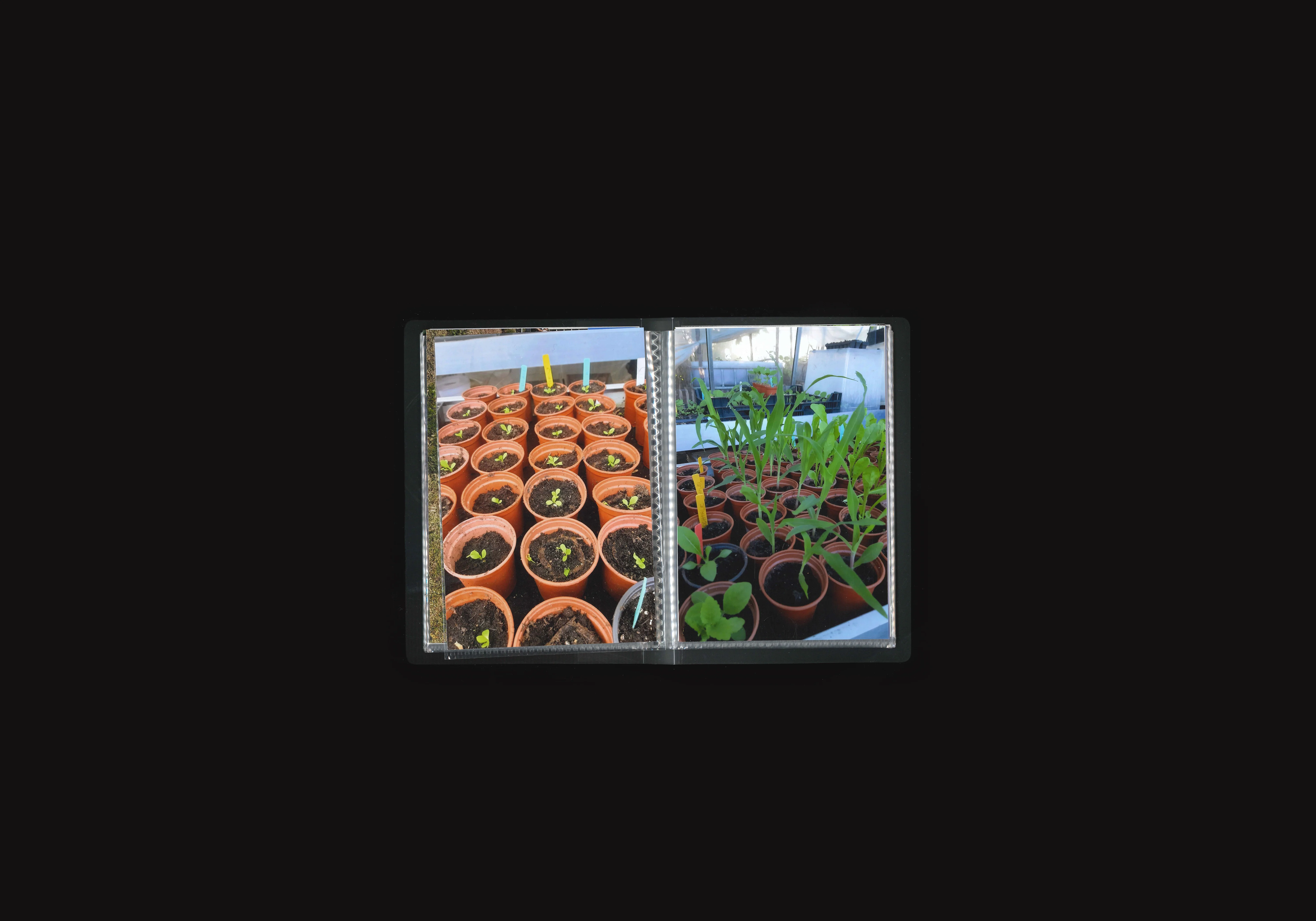 Place to Grow,image 2